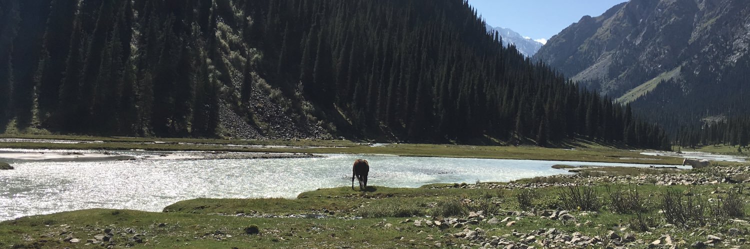 Eduardo Gonzalo banner