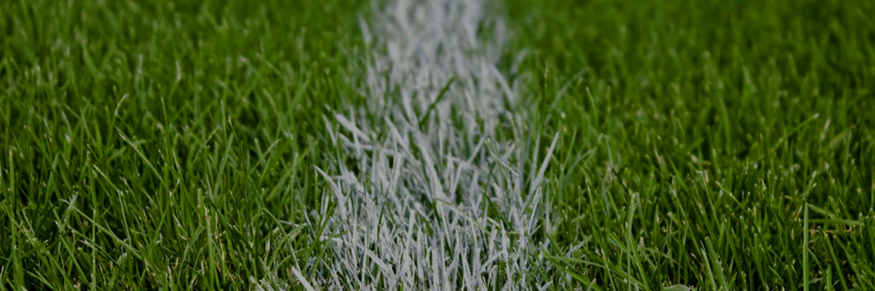 *Old* Westerham FC - new account @westerham1888 banner