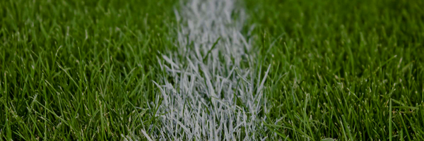 WesterhamFC Profile Banner
