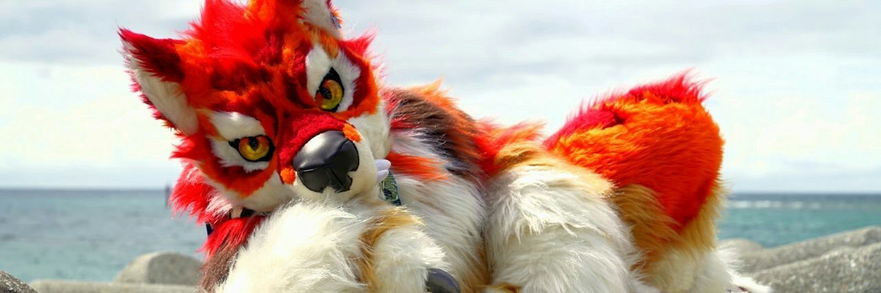 Crowvy 17/3 🎂 banner