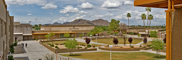 Saguaro High School Profile Banner