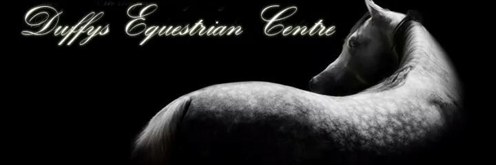 Duffys Equestrian banner
