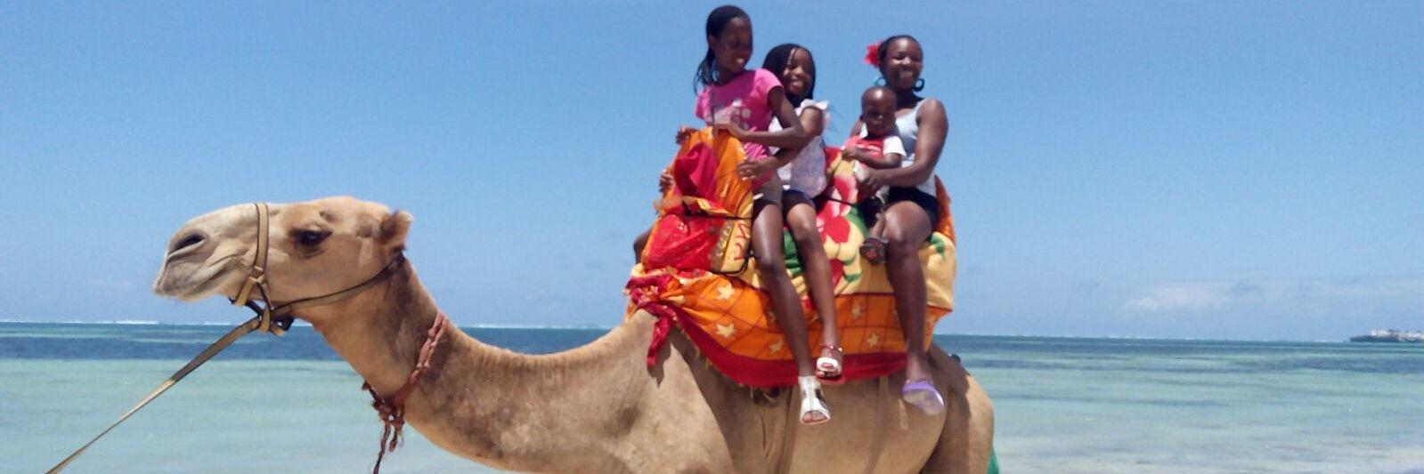 🌸Dr. Nelly Bosire🌸 banner