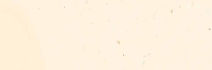 nonjokk's profile banner image