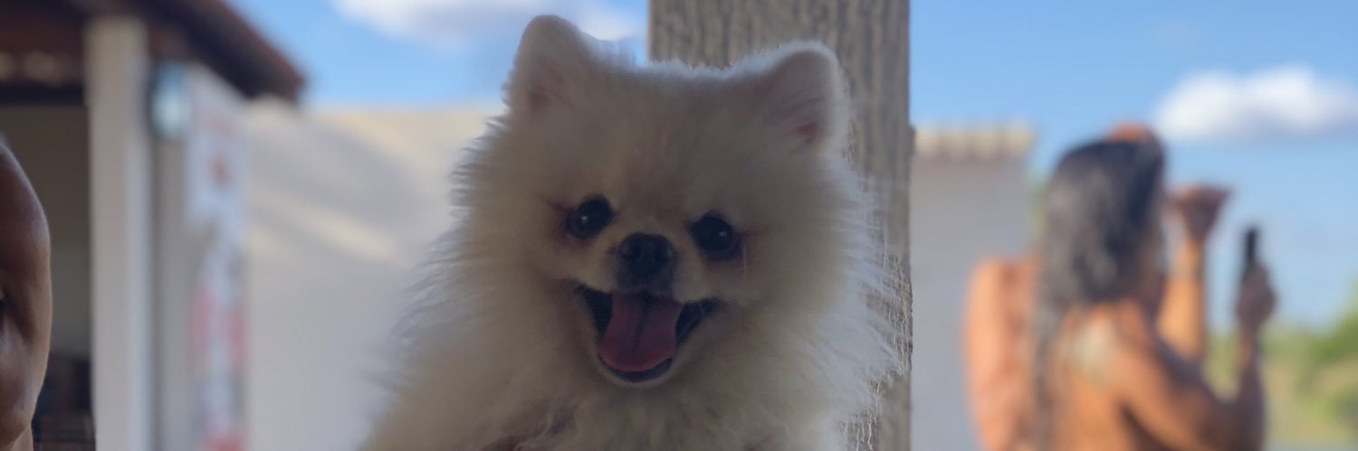 rcarvalhoooo's profile banner image