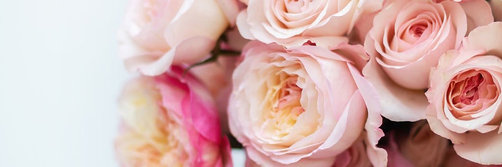 aspenflorist's profile banner image