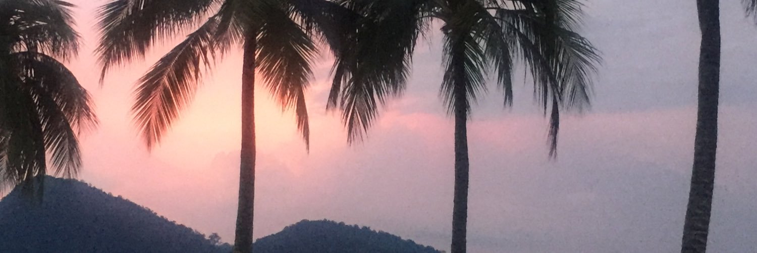 zoeeoz17's profile banner image