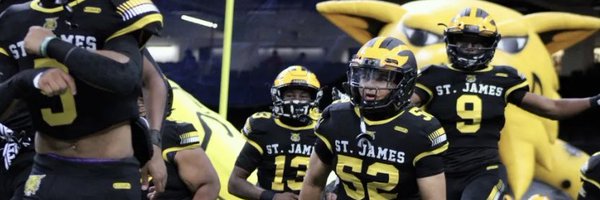 StJamesWildcats Profile Banner