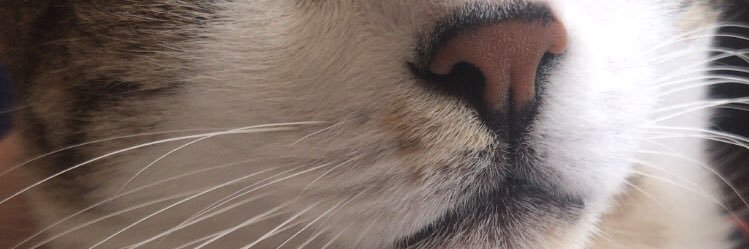ozge__ck's profile banner image