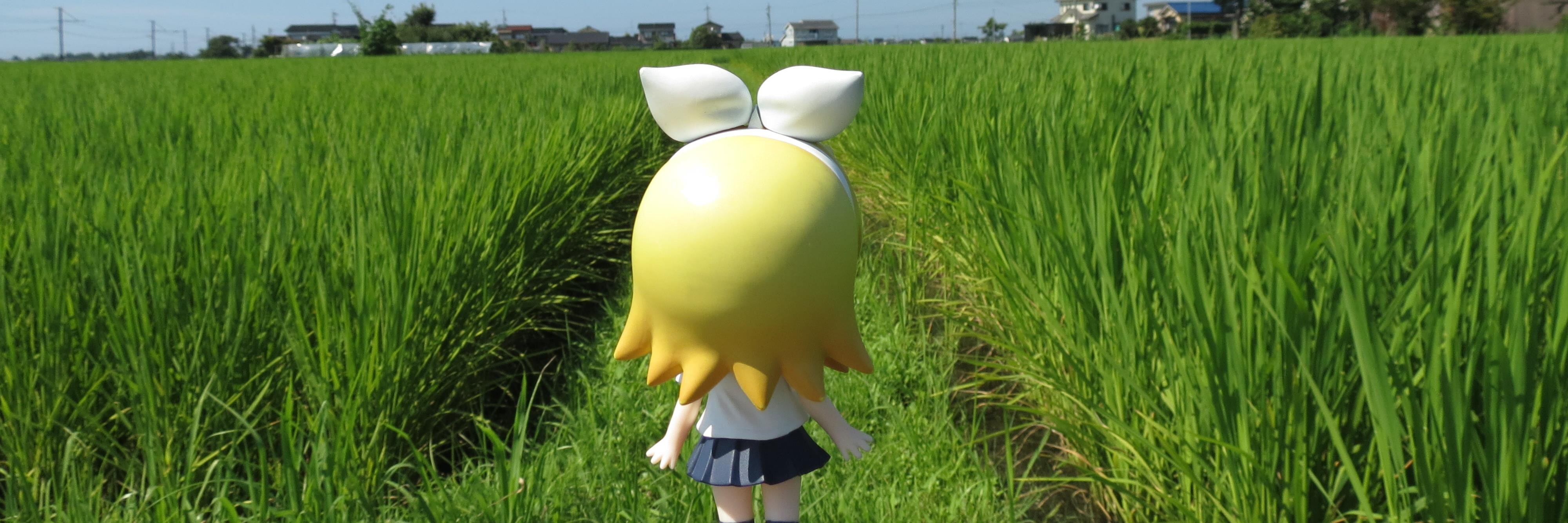 阿笠タ奈（あかさたな） banner