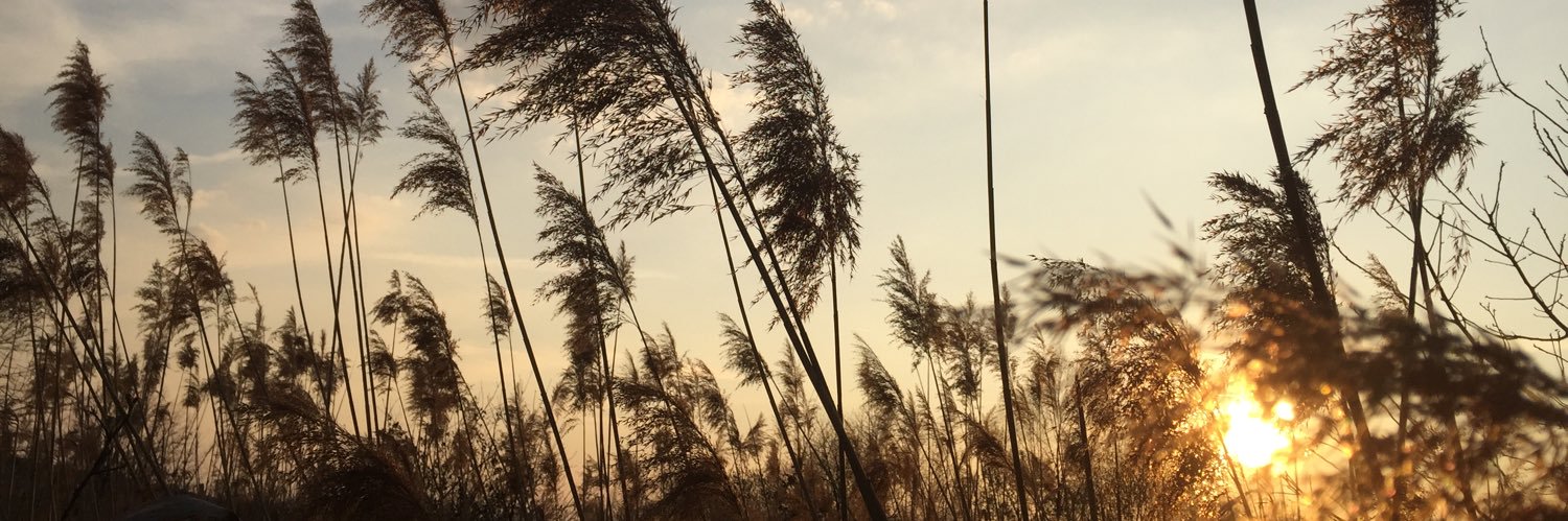 KlimaProphet's profile banner image