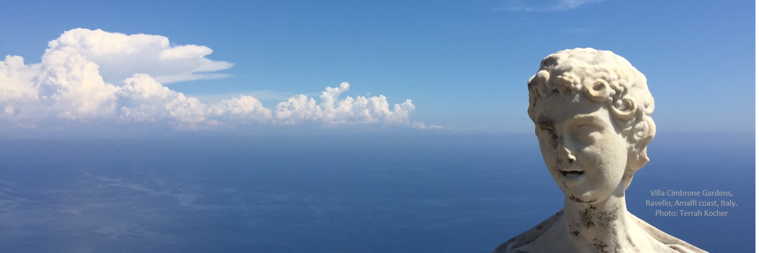 Terrah Kocher banner