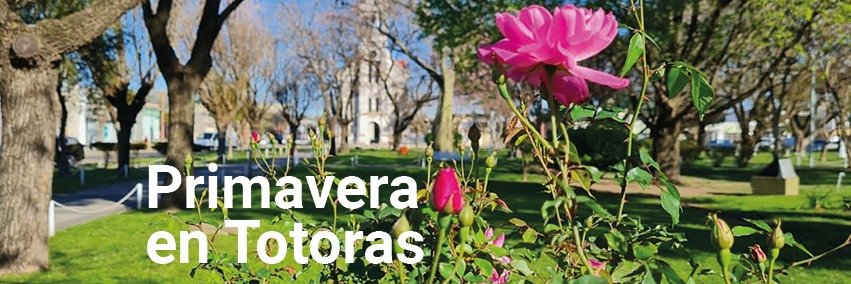 MuniTotoras's profile banner image