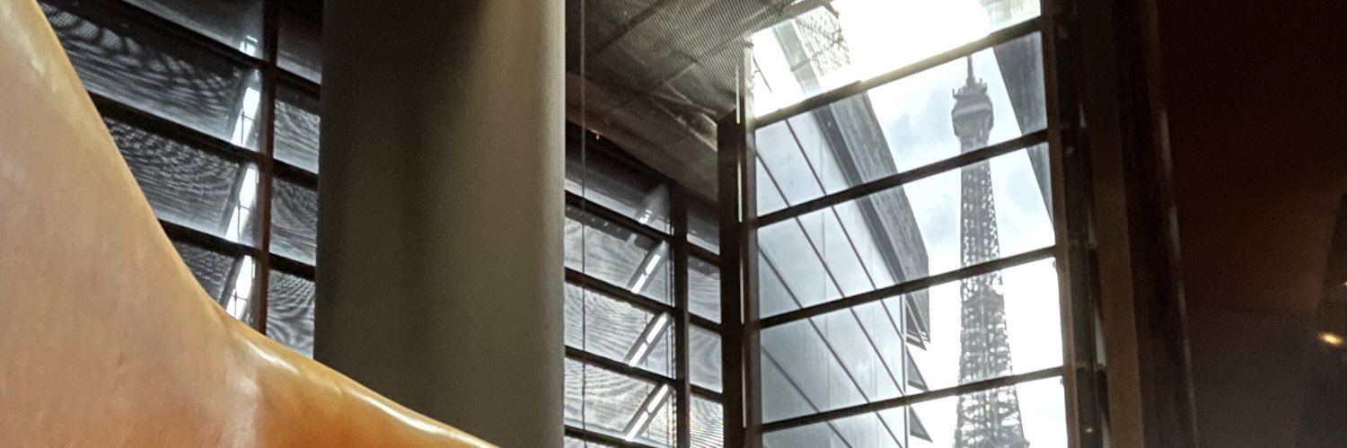 passylamuette's profile banner image