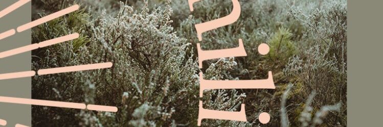 bohemilistore's profile banner image