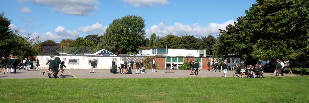 Bushey Manor banner