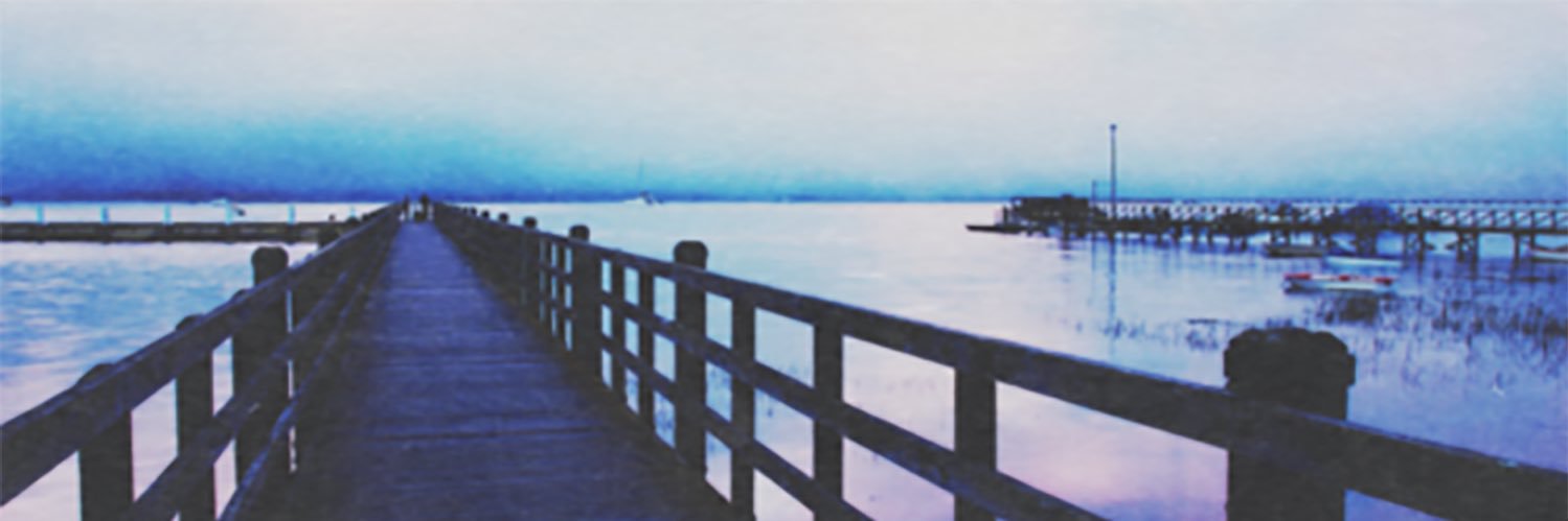 Bella_Hopes's profile banner image
