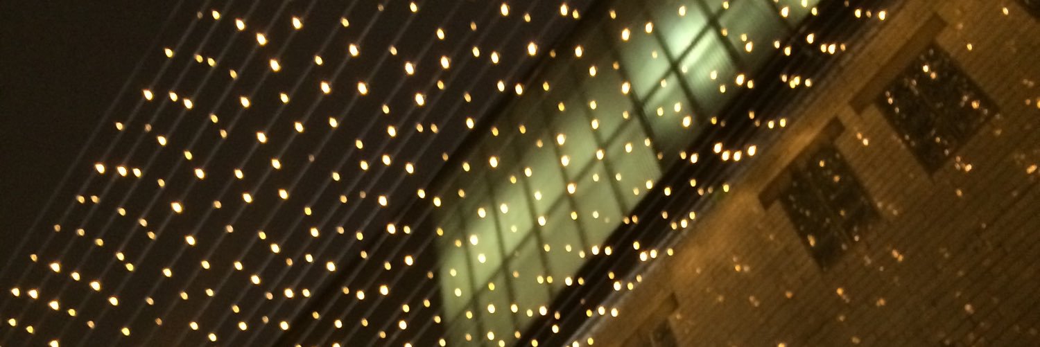 Tenstoreylvsong's profile banner image