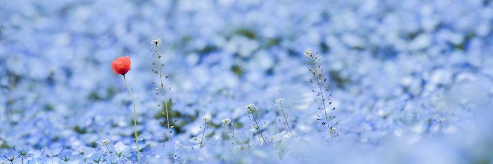 Hasna95's profile banner image