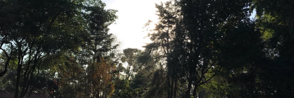 Brasil, direita volver! banner