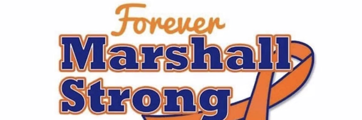 msholley's profile banner image