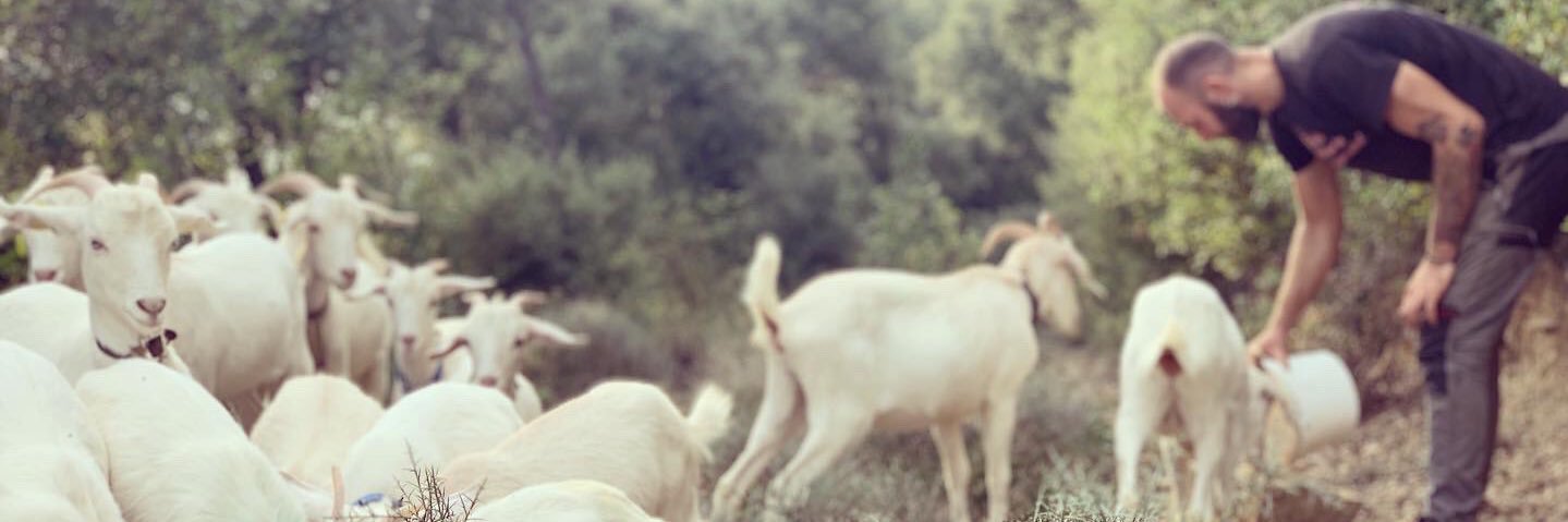 Sergi Arimany banner