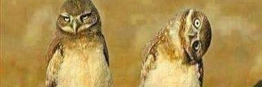 79Emmaus's profile banner image