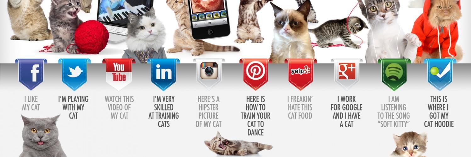 SocialMediaZA's profile banner image