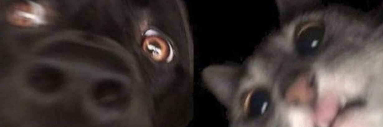 GrgHope's profile banner image