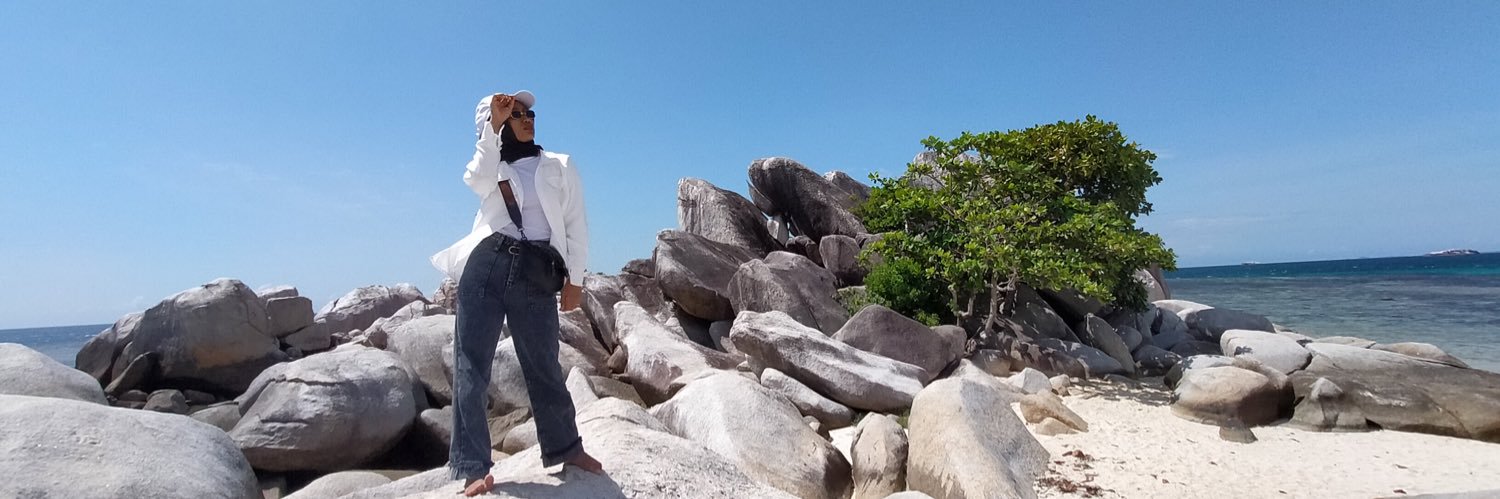 meidaslestari's profile banner image