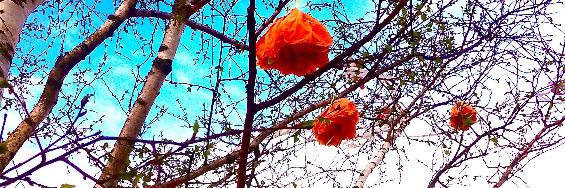 Cecilia Fredriksson banner