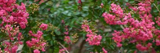 jinsoIbae's profile banner image