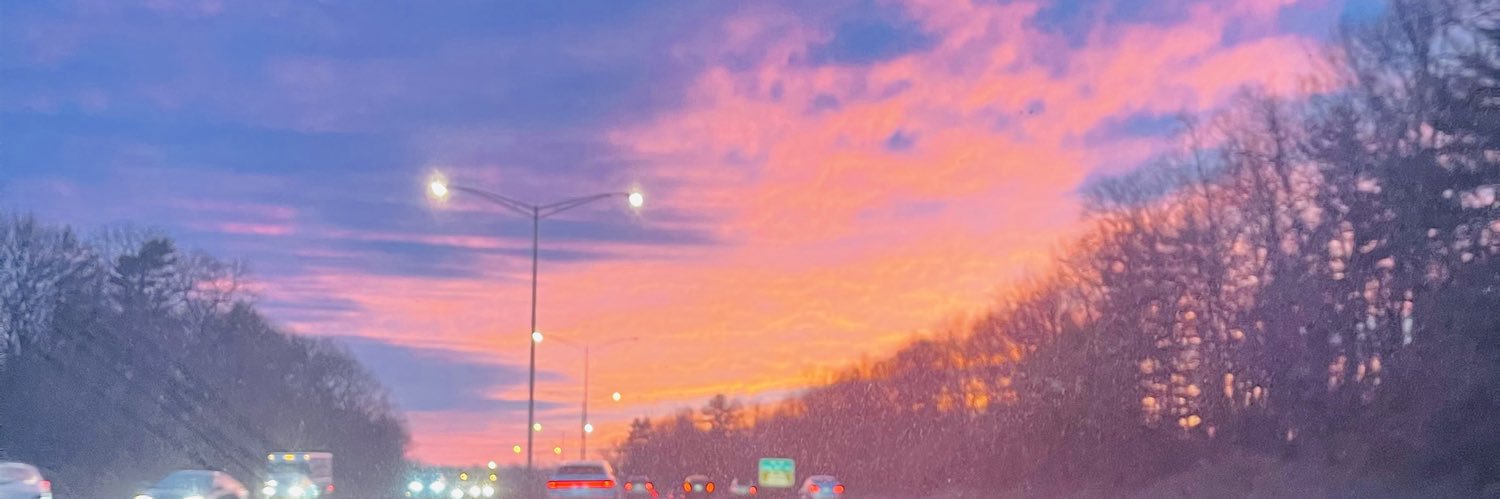 zaywhoelse's profile banner image