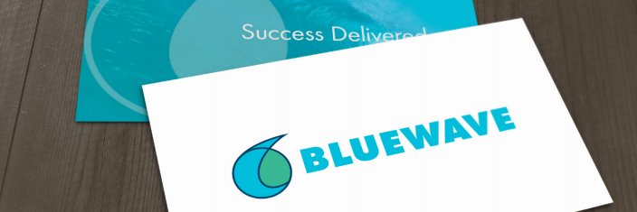 BLUEWAVE Customer Experience banner