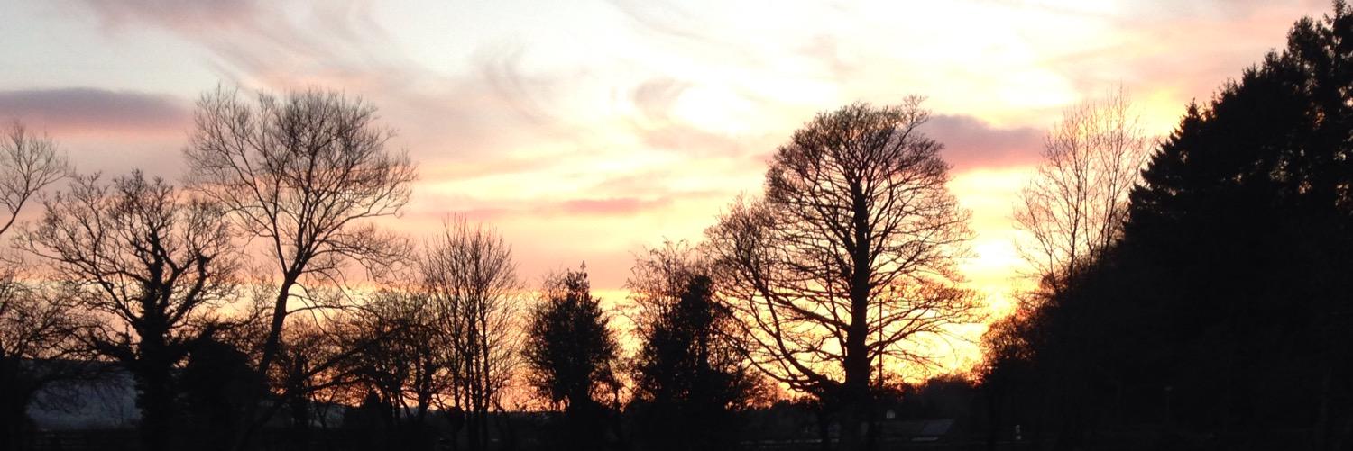 Felicity Sutcliffe banner