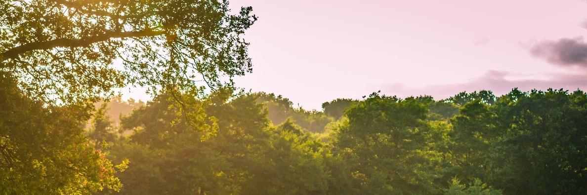 kerrycam_'s profile banner image