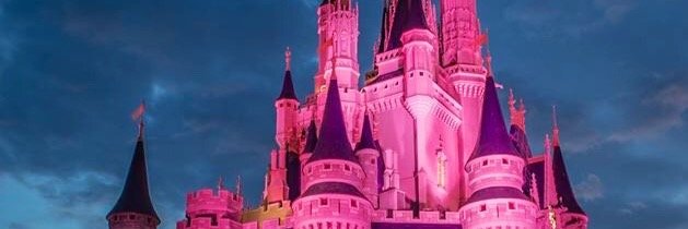 traci_ros's profile banner image
