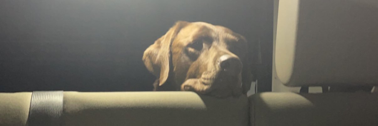 DayloManno's profile banner image