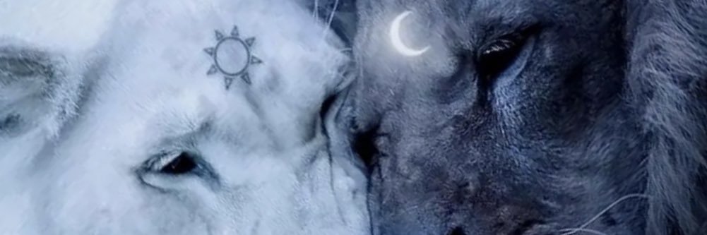 SAVOY__'s profile banner image