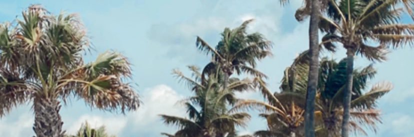 sgorman1022's profile banner image