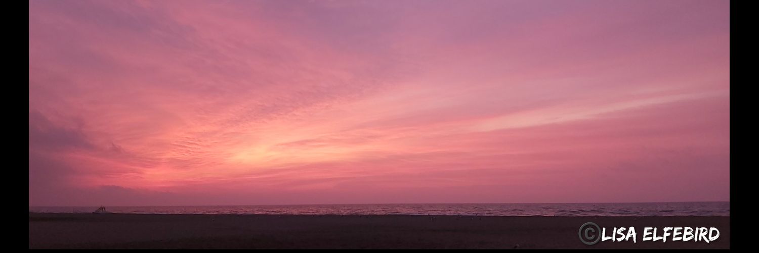 elfebird's profile banner image