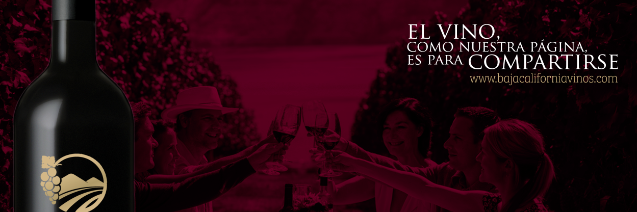 BCVinos's profile banner image