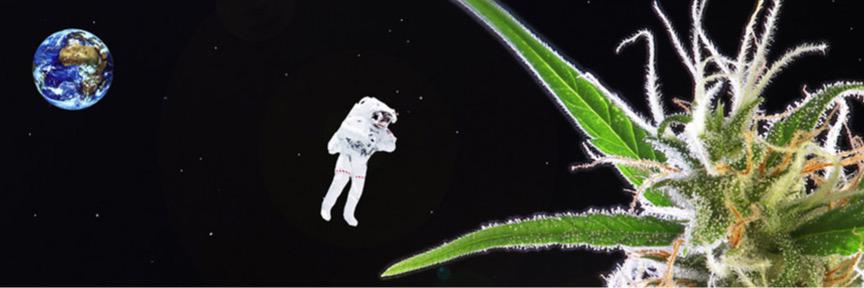 daniel_jonno's profile banner image