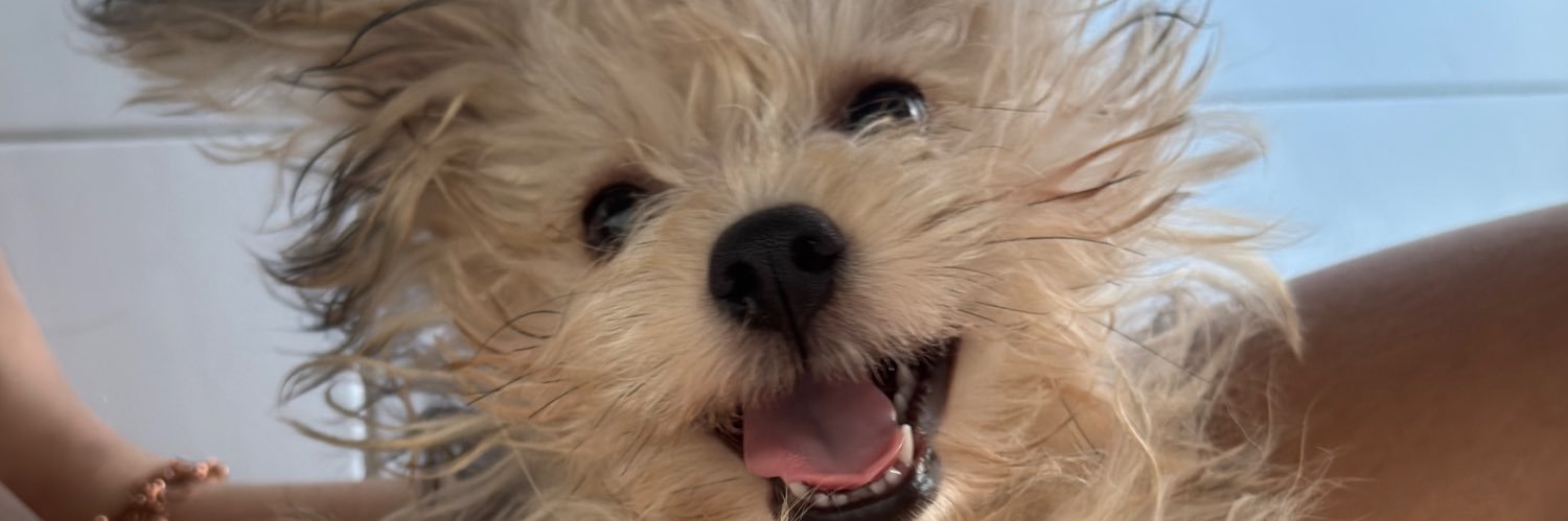 sashashabby's profile banner image