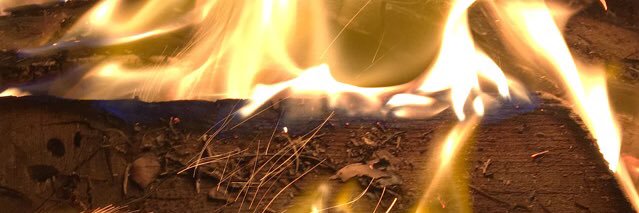 abbyrosebaker1's profile banner image