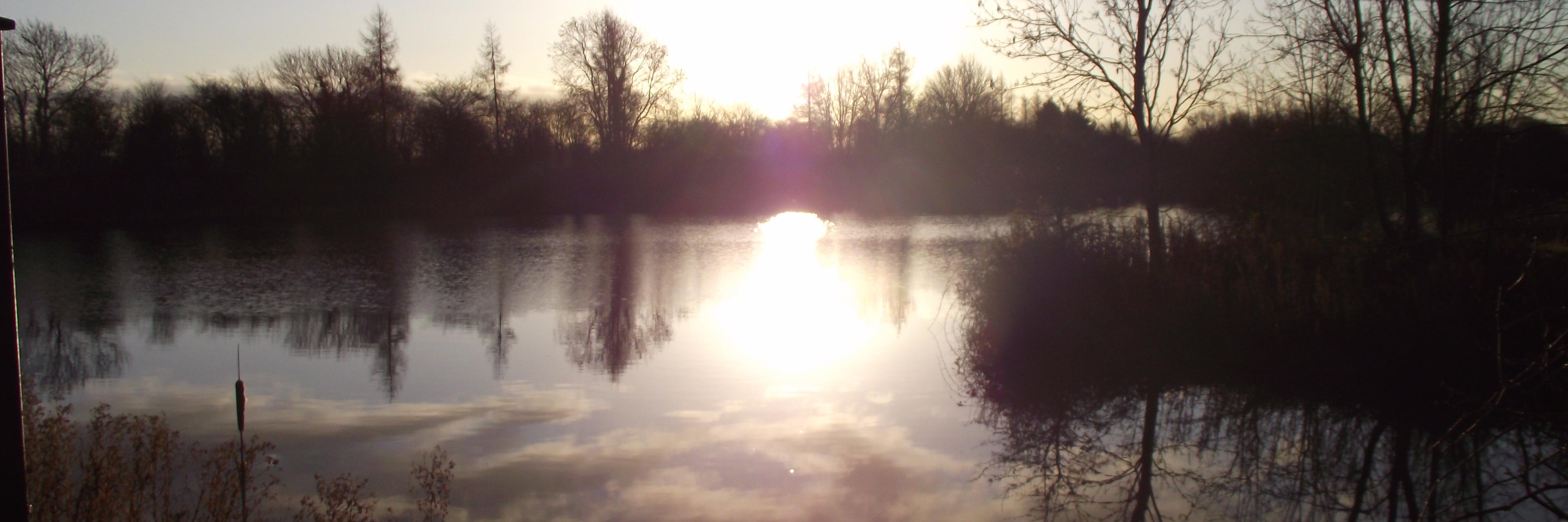 leannebird69's profile banner image
