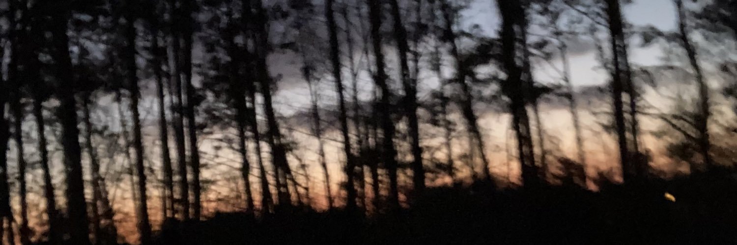 lightsleeprr's profile banner image