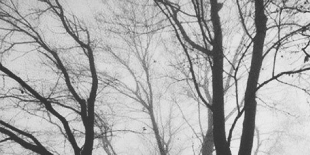 harryvep's profile banner image