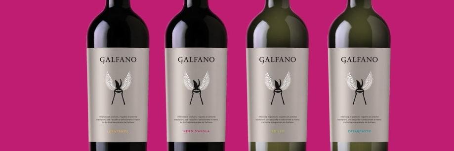 TenuteGalfano's profile banner image