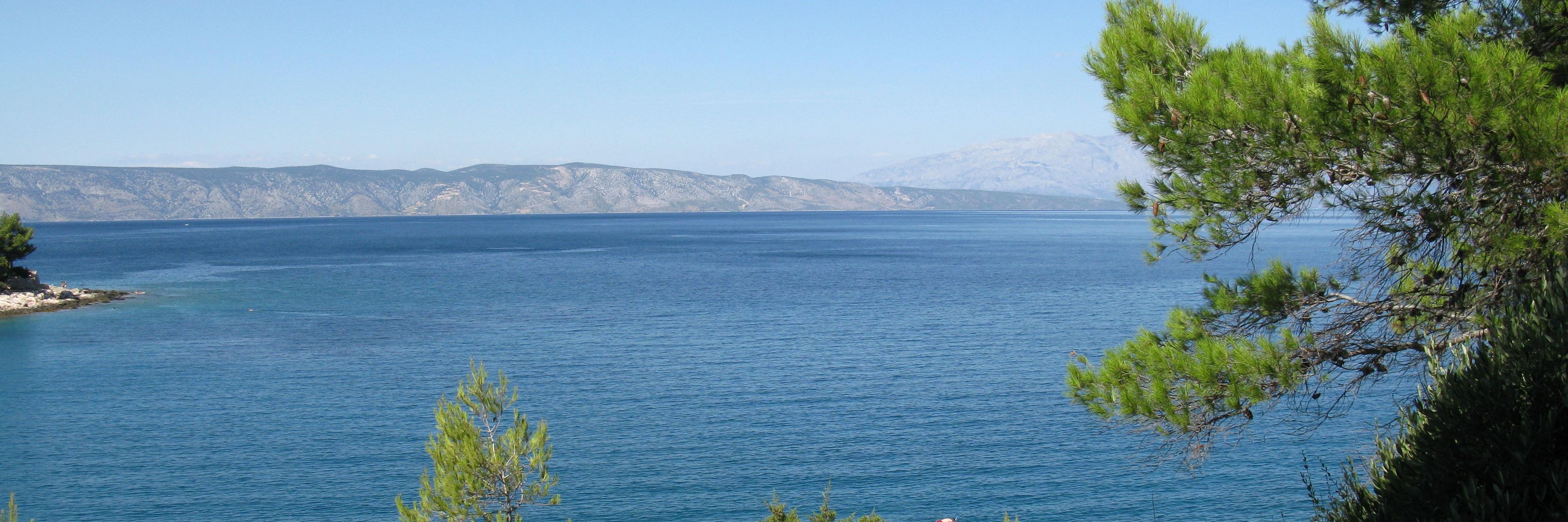 Jasmina Selimovic banner